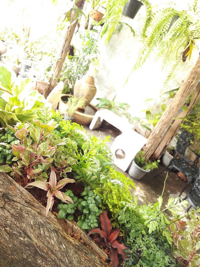 נחון סי טמארט Muang Khon Guest House מראה חיצוני תמונה
